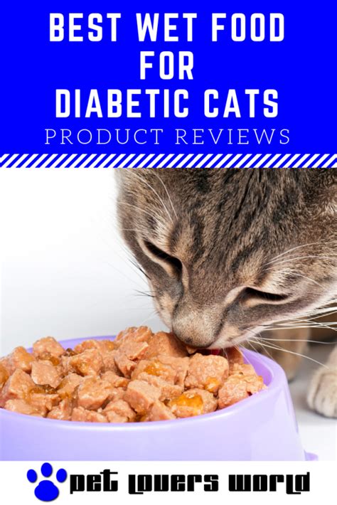 best wet food for diabetic cat|best rated diabetic cat food.